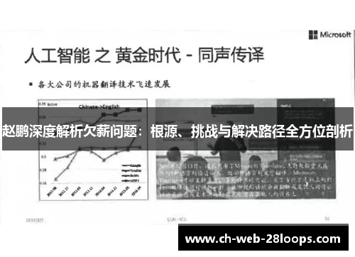 赵鹏深度解析欠薪问题：根源、挑战与解决路径全方位剖析