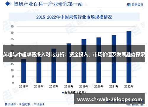 英超与中超联赛投入对比分析：资金投入、市场价值及发展趋势探索