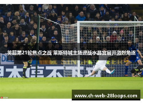 英超第21轮焦点之战 莱斯特城主场迎战水晶宫展开激烈角逐