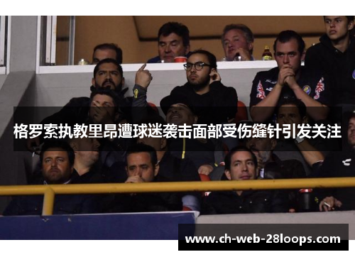 格罗索执教里昂遭球迷袭击面部受伤缝针引发关注